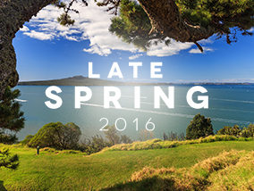 TempoFit Late Spring 2016